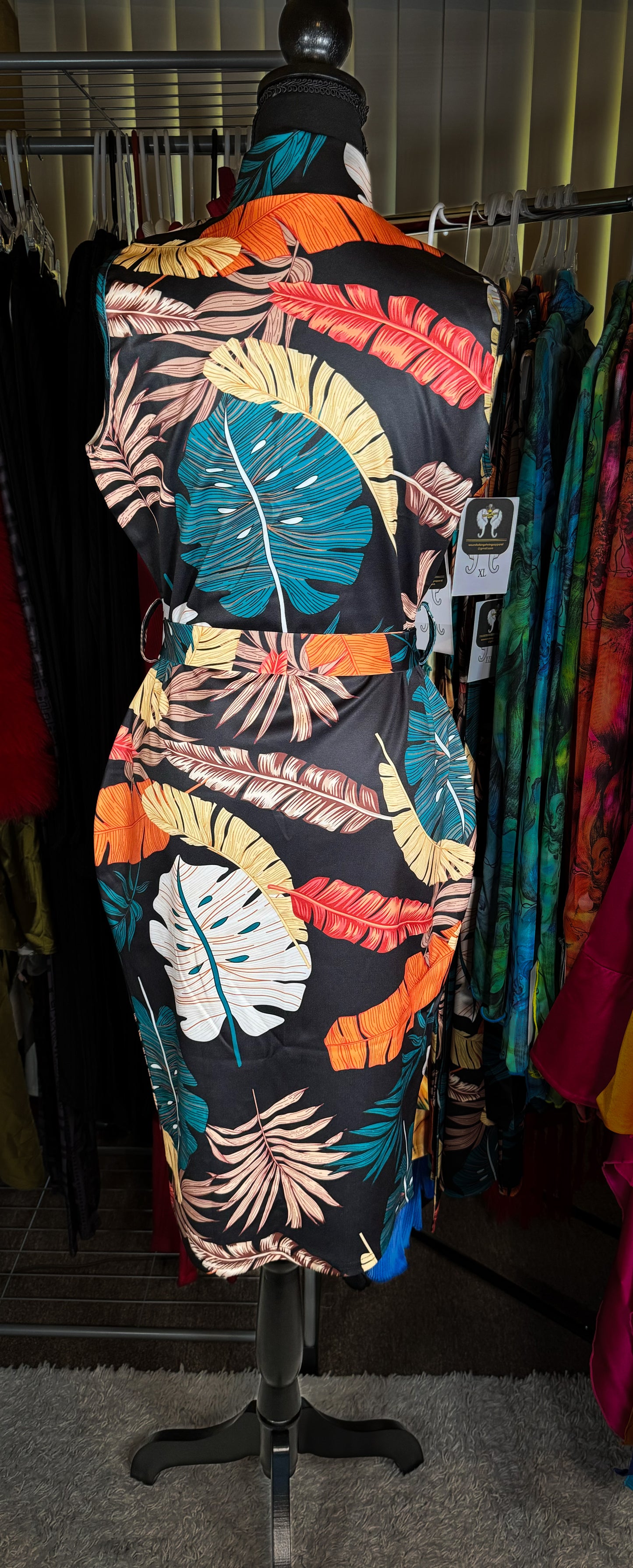 The Blessed Dress