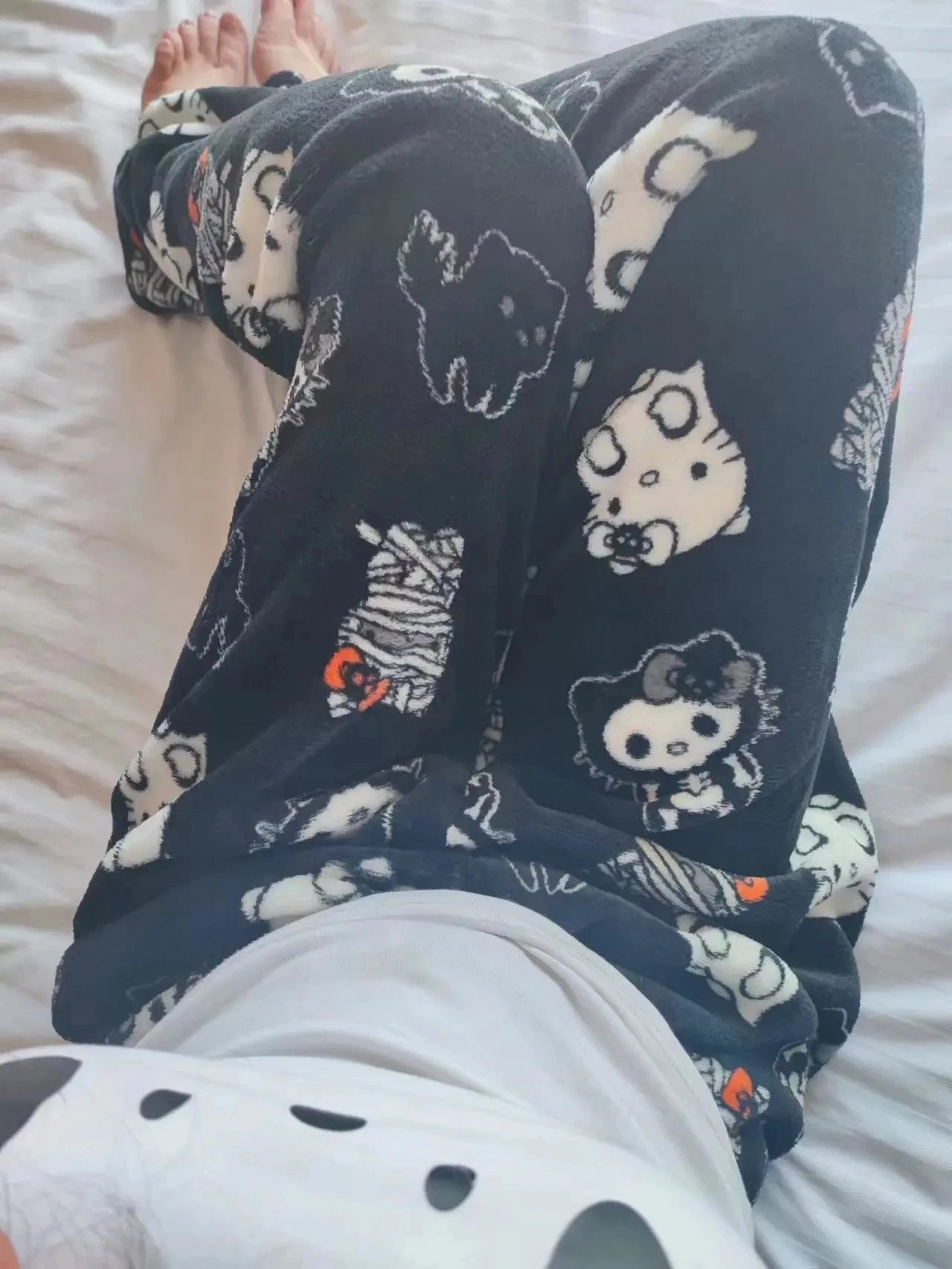 Hey Kitty Kitty